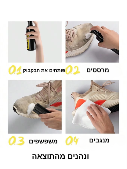 ערכת ניקוי נעליים